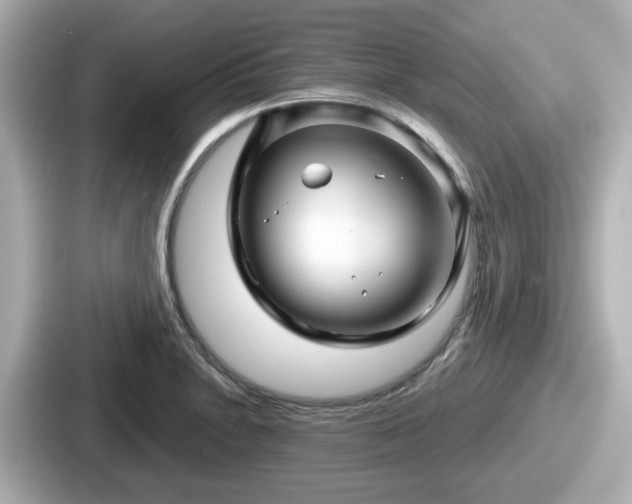 X0000087641230200705101041