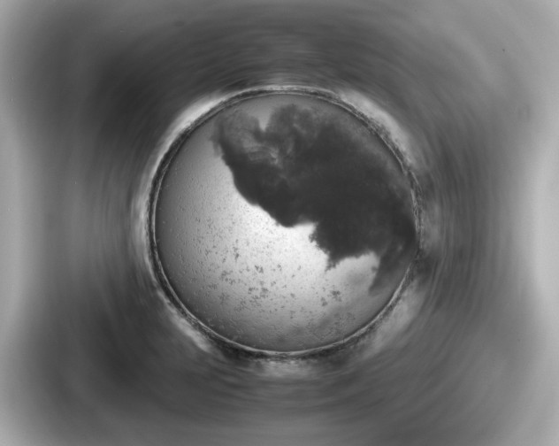 X0000087641231200705101041