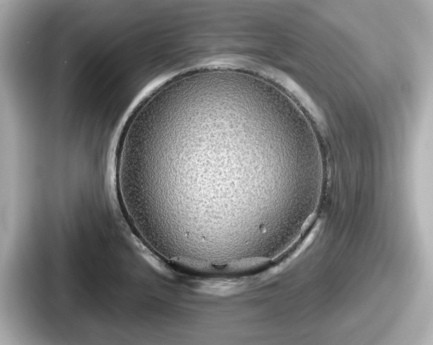 X0000087641232200705101041