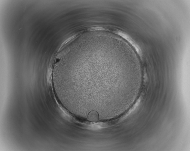 X0000087641233200705101041