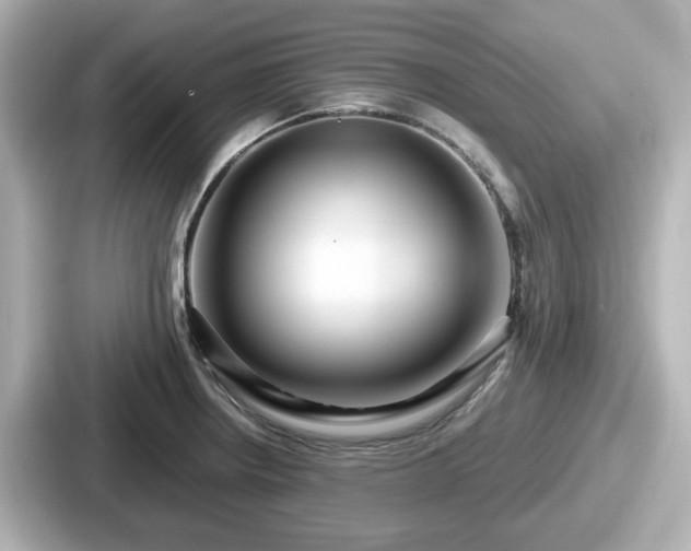 X0000087641234200705101041