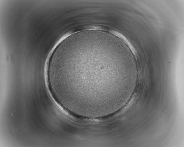 X0000087641235200705101041