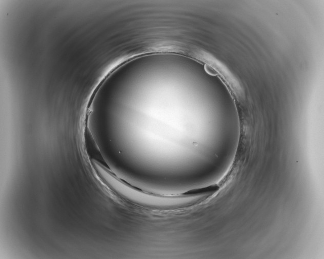 X0000087641236200705101041