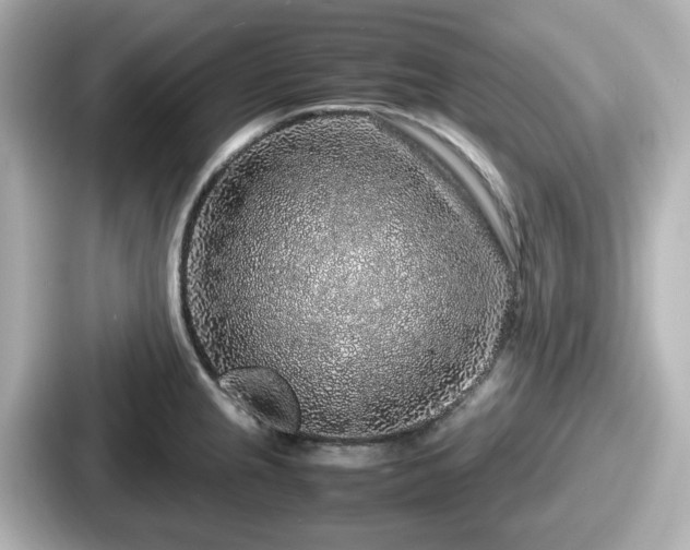 X0000087641237200705101041