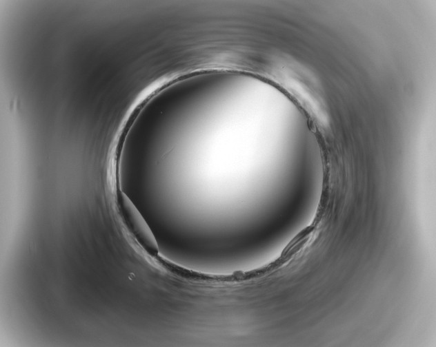 X0000087641238200705101041