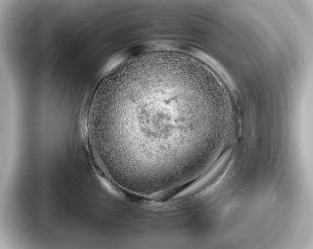 X0000087641241200705101041