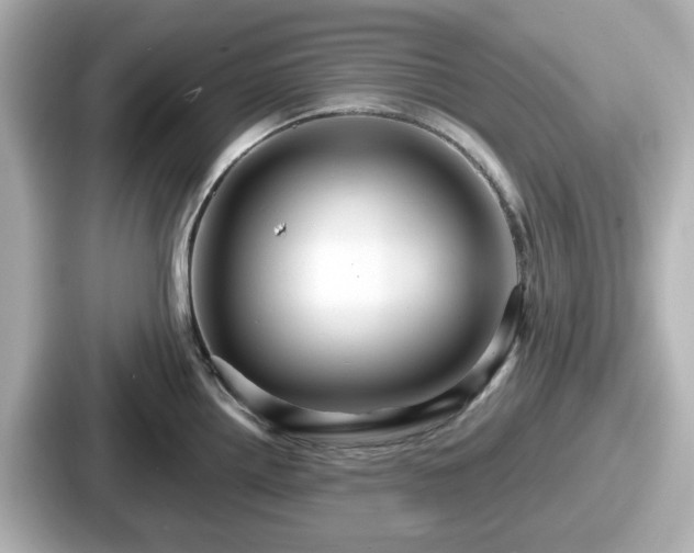 X0000087641242200705101041