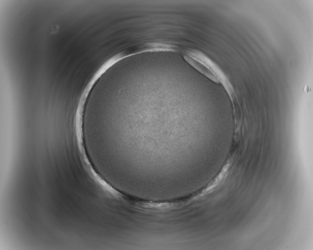 X0000087641243200705101041