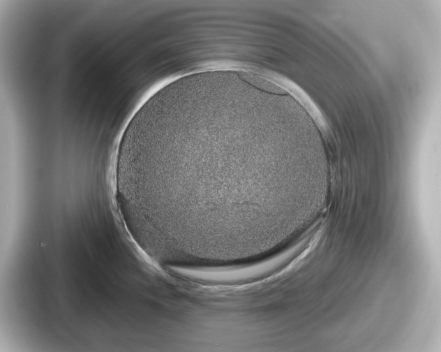 X0000087641244200705101041