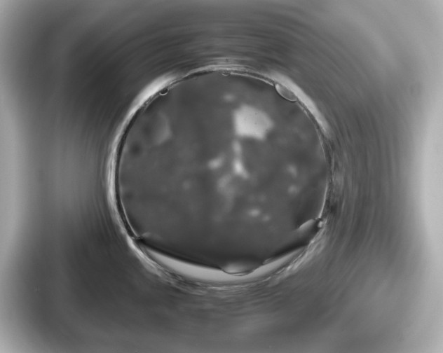 X0000087641245200705101041