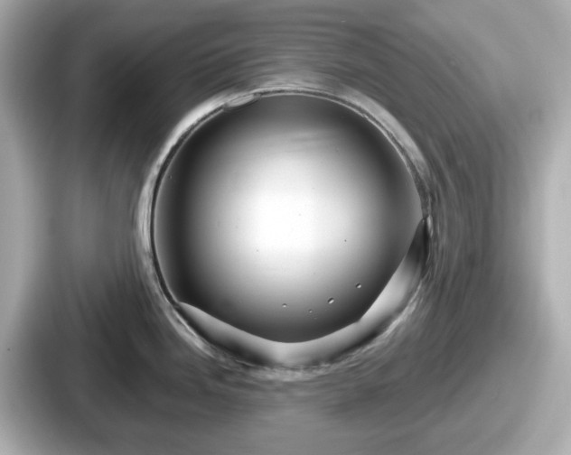 X0000087641246200705101041