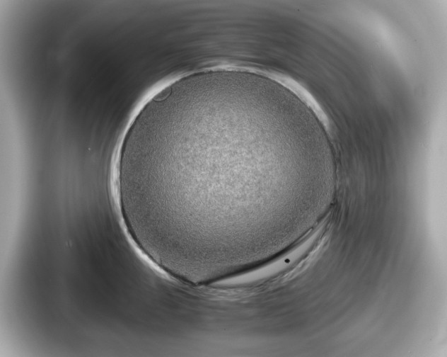 X0000087641247200705101041