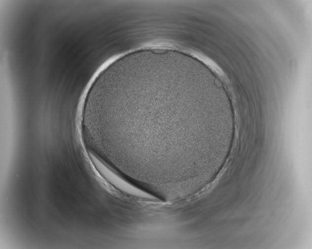 X0000087641248200705101041