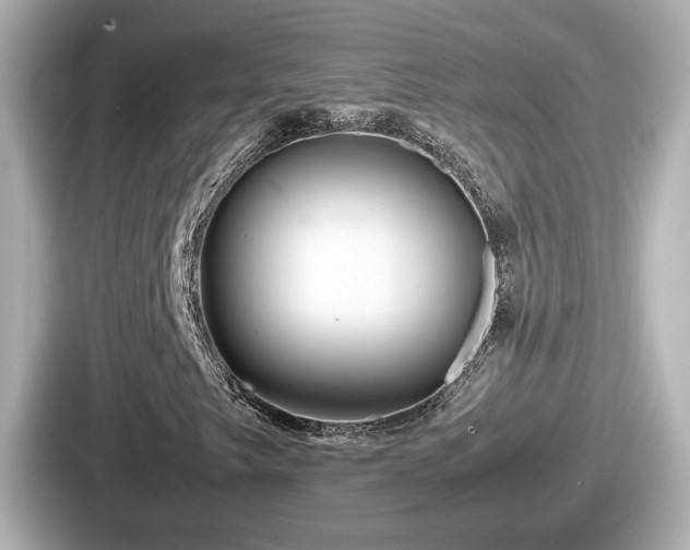 X0000087641249200705101041