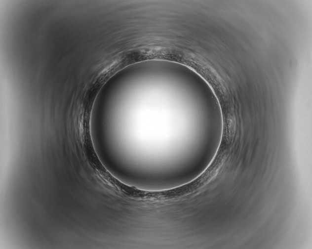 X0000087641250200705101040