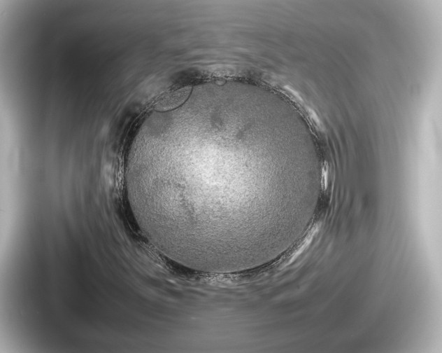 X0000087641251200705101040