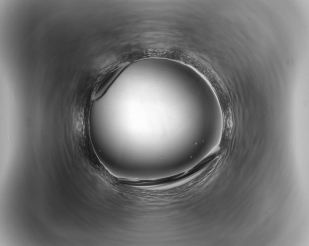 X0000087641252200705101040