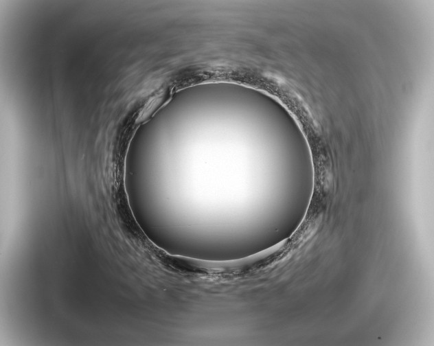 X0000087641253200705101040