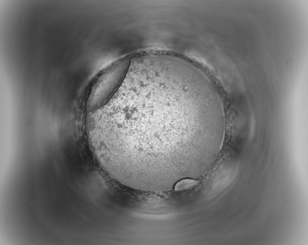 X0000087641255200705101040