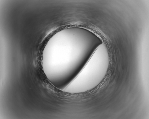 X0000087641256200705101040