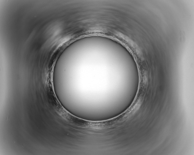 X0000087641258200705101040