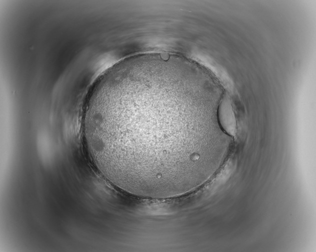 X0000087641259200705101040