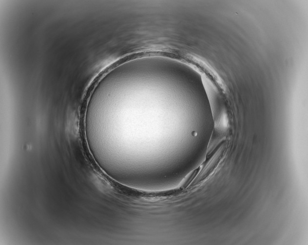 X0000087641260200705101040