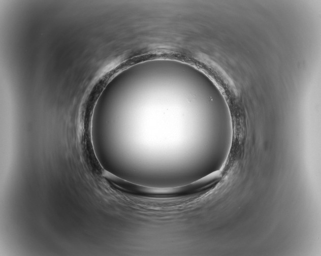 X0000087641261200705101040