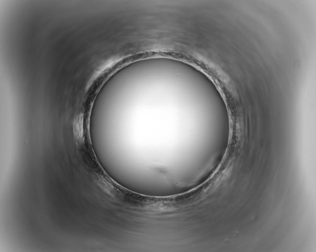 X0000087641262200705101040