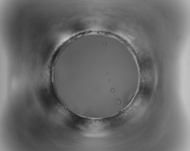 X0000087641263200705101040