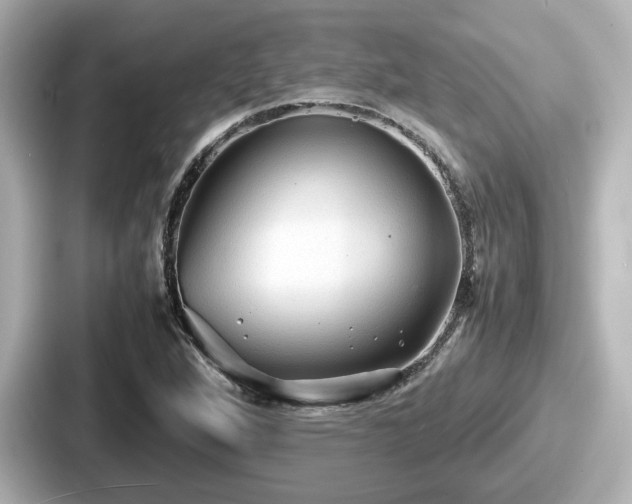 X0000087641264200705101040