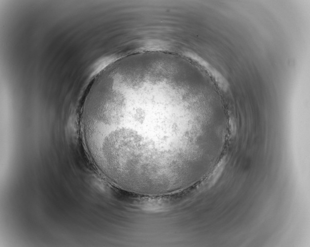 X0000087641266200705101040