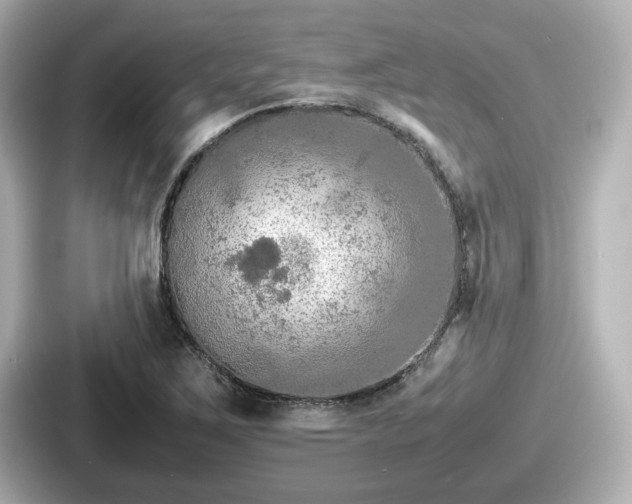 X0000087641267200705101040