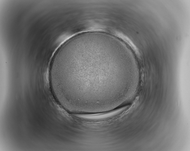 X0000087641268200705101040