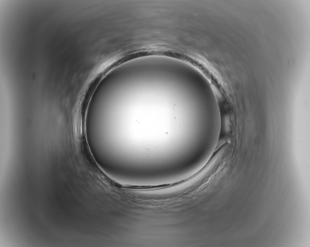 X0000087641269200705101040