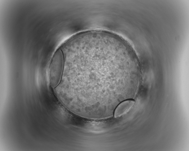 X0000087641271200705101040