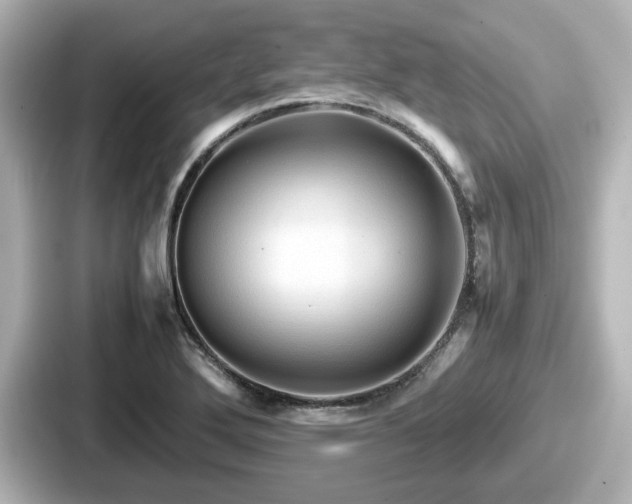 X0000087641272200705101040