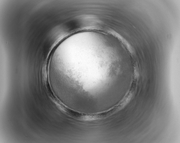 X0000087641274200705101040