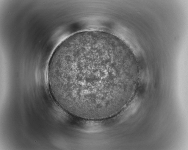 X0000087641275200705101040