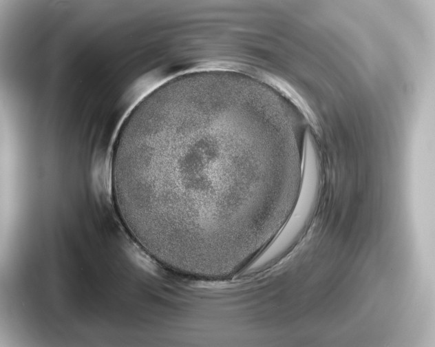 X0000087641276200705101040