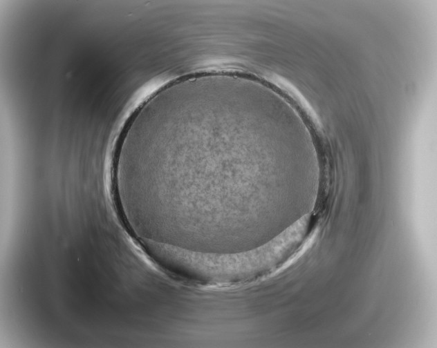 X0000087641277200705101040