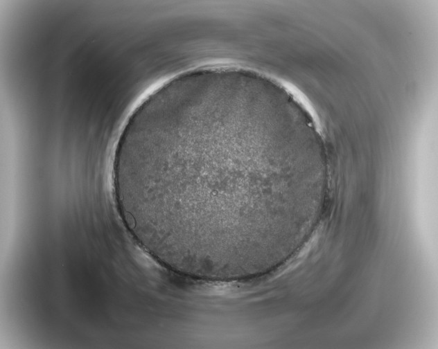 X0000087641279200705101040