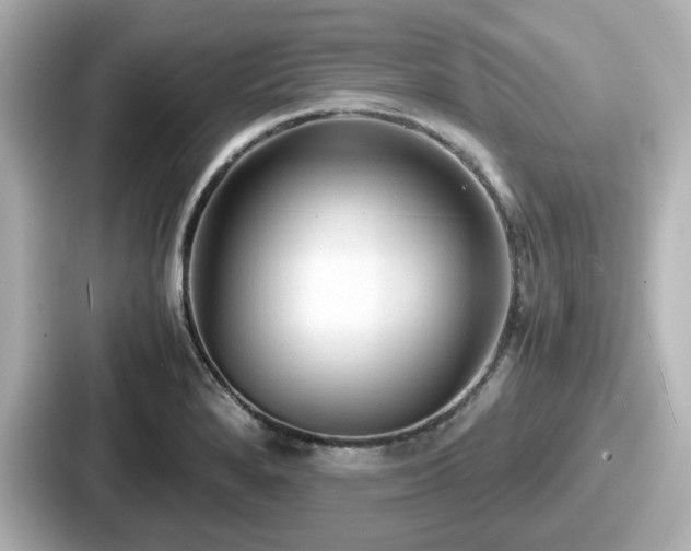 X0000087641280200705101040