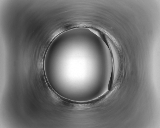 X0000087641281200705101040