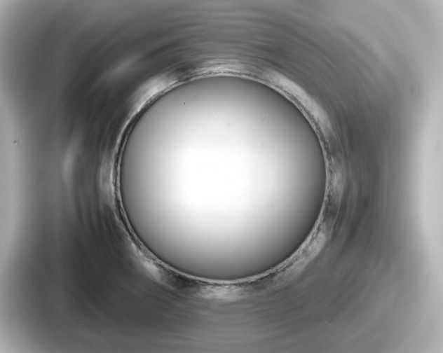 X0000087641282200705101040