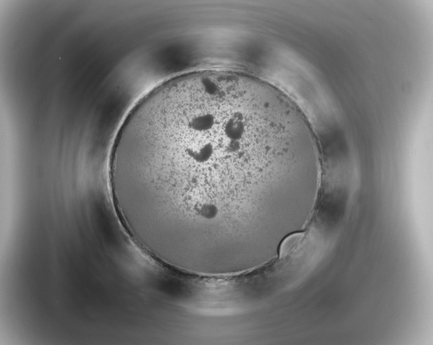 X0000087641283200705101040