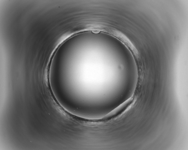 X0000087641284200705101040