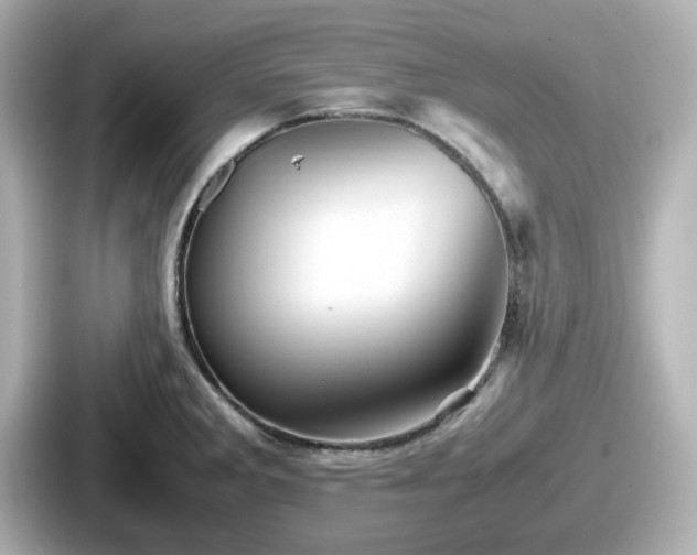 X0000087641285200705101040