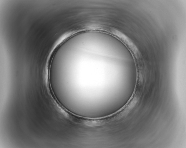 X0000087641286200705101040