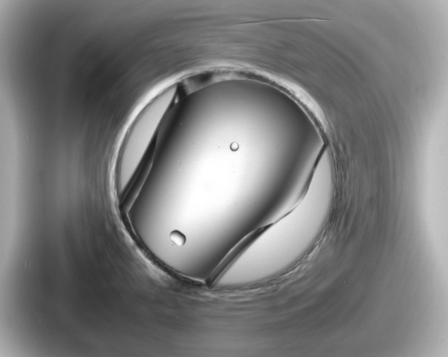 X0000087641287200705101040